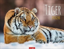 Tiger Kalender 2026 | Kalender | Tierkalender Weingarten | Spiralbindung | 14 S.