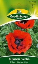 Türkischer mohn brilliant - türkischer,