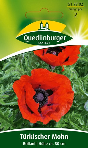 Türkischer mohn brilliant - mohn,