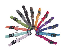 Nobby classic Hundehalsband