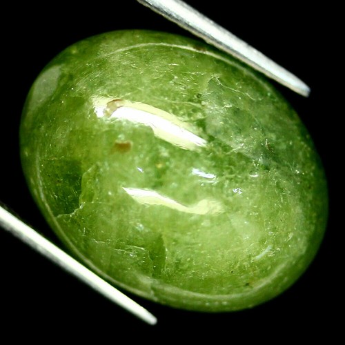 Shola echt ct - shola,
