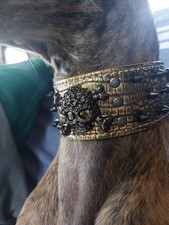 Hundehalsband mit Nieten und