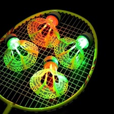 Federball Badminton