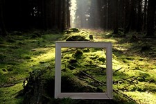 Fuchs-Keilrahmenleisten als