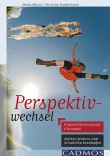 Perspektivwechsel positive - perspektivwechsel:,