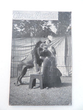 ALTE AK CIRCUS BARUM FRAU LÖWE CIRQUE 14 CM X 9 CM SELTEN