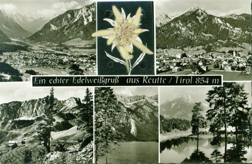 13813438 reutte applikation - -,