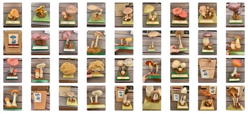 Somso vintage pilz - vintage, modelle