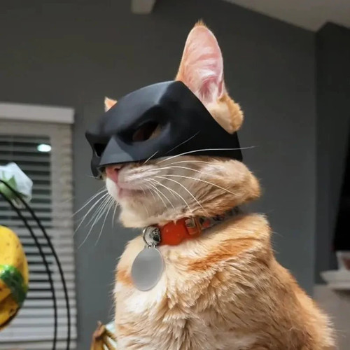 Batcat maske das original - das,
