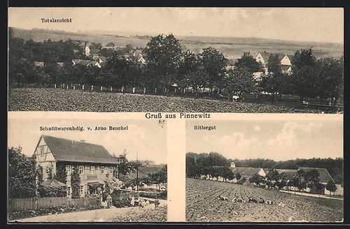 Ansichtskarte pinnewitz - ansichtskarte,