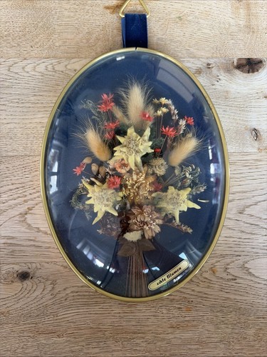 Herbarium unter ovalen glas - herbarium,