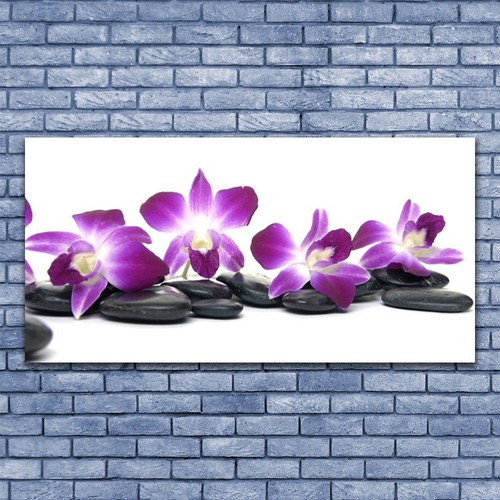 Acrylglasbilder wandbilder - acrylglasbilder,