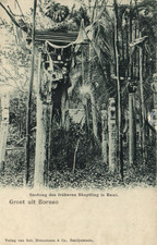 PC BORNEO INDONESIA SANTONG DES FRUHEREN HAUPTLING IN RAWI VINTAGE PC (b62574)