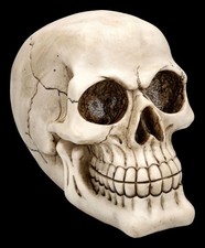 Totenkopf Deko - Schädel in