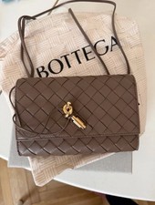 Bottega Veneta Andiamo Pouch