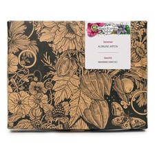 Alraune Arten - Samen-Geschenkset mit der frühlings- & herbstblühenden Sorte