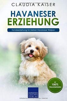 Havaneser erziehung - havaneser,