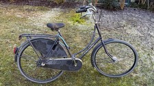 Gazelle classic - gazelle, |