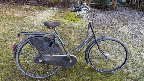 Gazelle classic - gazelle, |