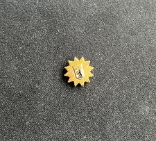 Selten! Pin Anstecker