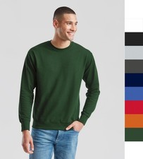 Herren Sweatshirt Fruit of the