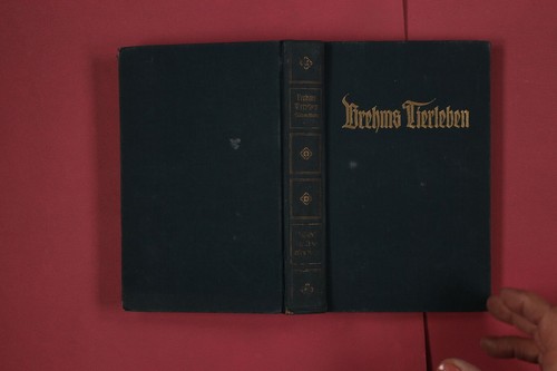 309687 adolf meyer - 309687, brehms