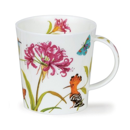Dunoon exotic beauty hoopoe - ,