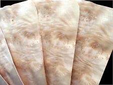 23 x AHORN CLUSTER & RIEGEL FURNIER Furnierplatte Holzplatte Tischplatte Regal