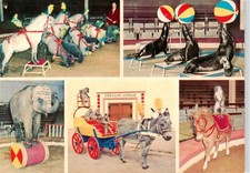 Zirkus Artistik Carl