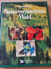Naturvermächtnis Wald