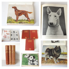 1934 HUTCHINSON'S DOG