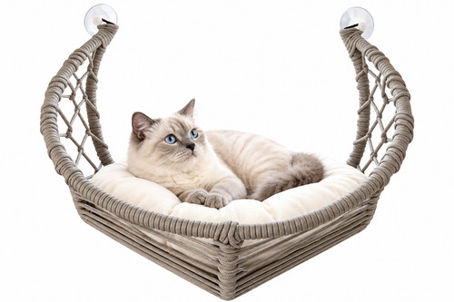 Katzen fensterliege mit - katzen,