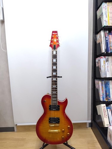 Aria pro2 gitarre dlx - aria,