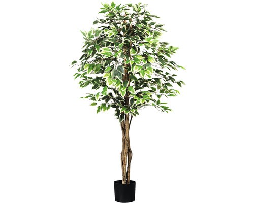 Kunstpflanze ficus benjamin - kunstpflanze,