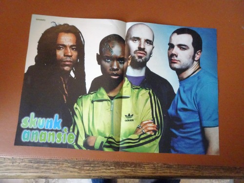 Bravo poster skunk - poster,