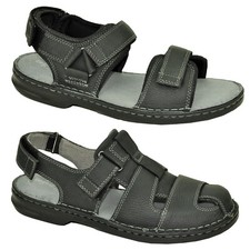 Clarks Malone Cove Shore