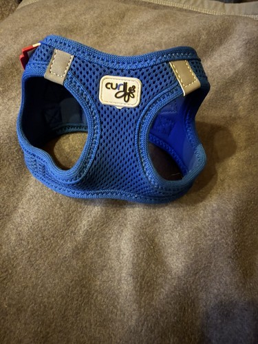 Curli dogfinder - curli,