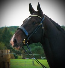 FSS GOLDKRISTALL Patent