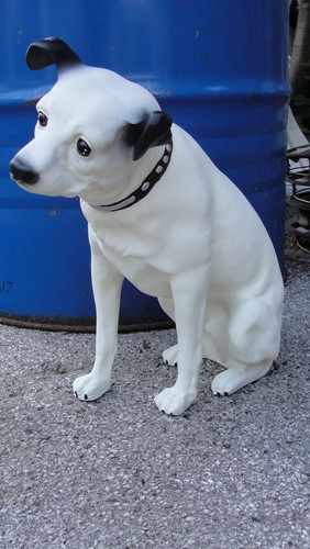 Grammophon hund his - hund,