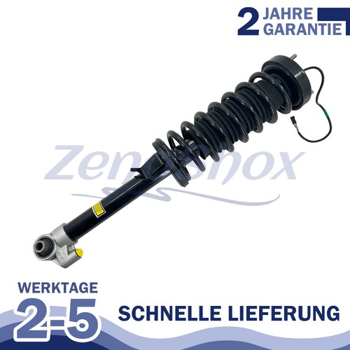 37121091572 hinten federbein - hinten,