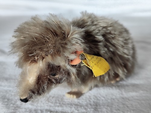 Aus einer auflösung tolles - aus,