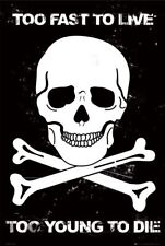 Poster SKULL - Too Fast To