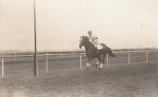 Photo postcard horse racing