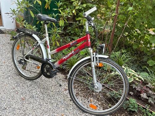 Damenfahrrad zoll pegasus - damenfahrrad,