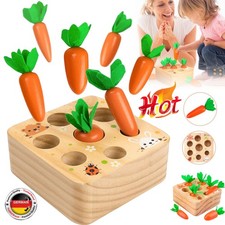 Montessori Holzpuzzle