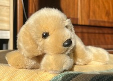 Junger Hund, Kuscheltier