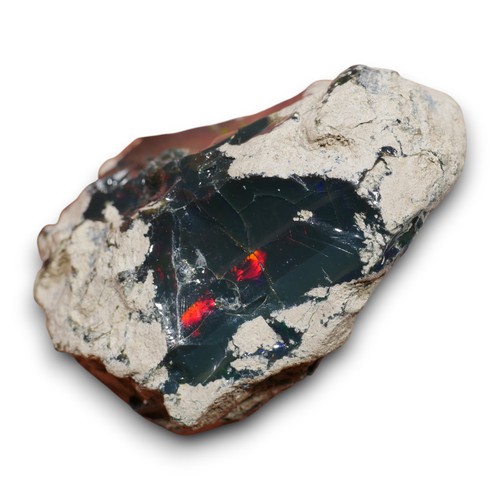 Schwarzer multicolor - 77.80,