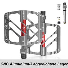 Mountainbike Fahrrad 3 Lager