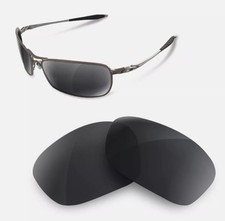 newpolar polarisierte