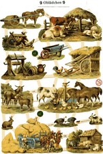 # GLANZBILDER  # EF 7358